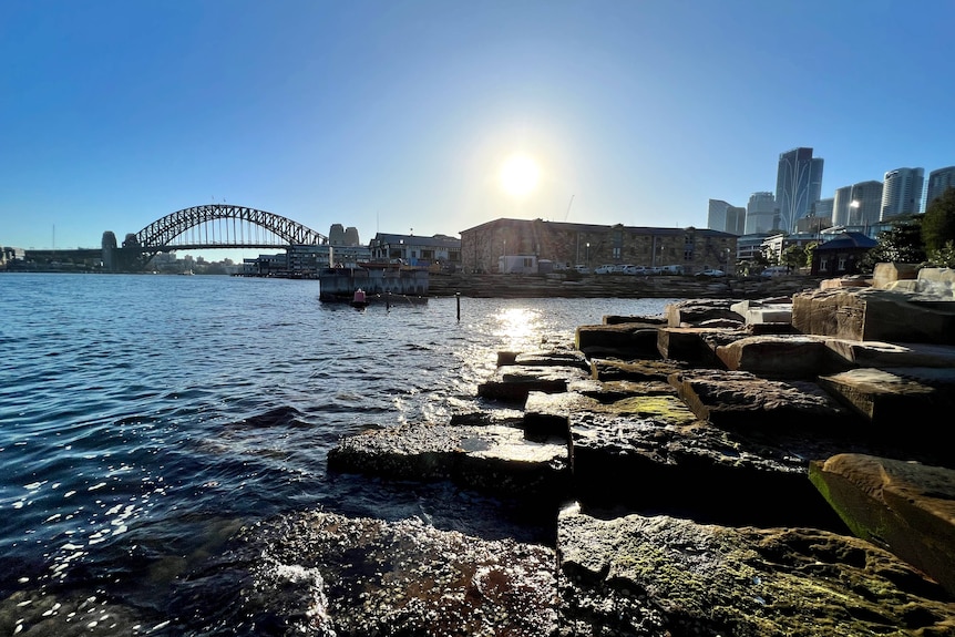 Water and rocks with the Sydney Harbor Bridge in the background
