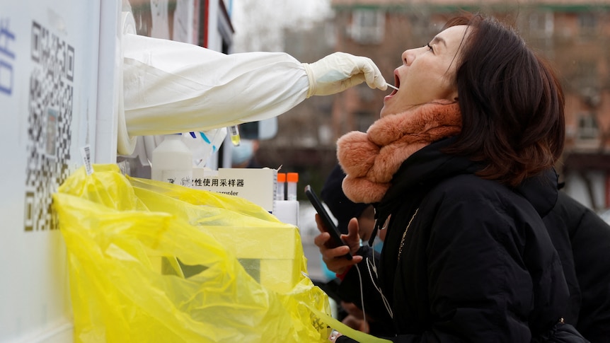 A woman gets a covid test.