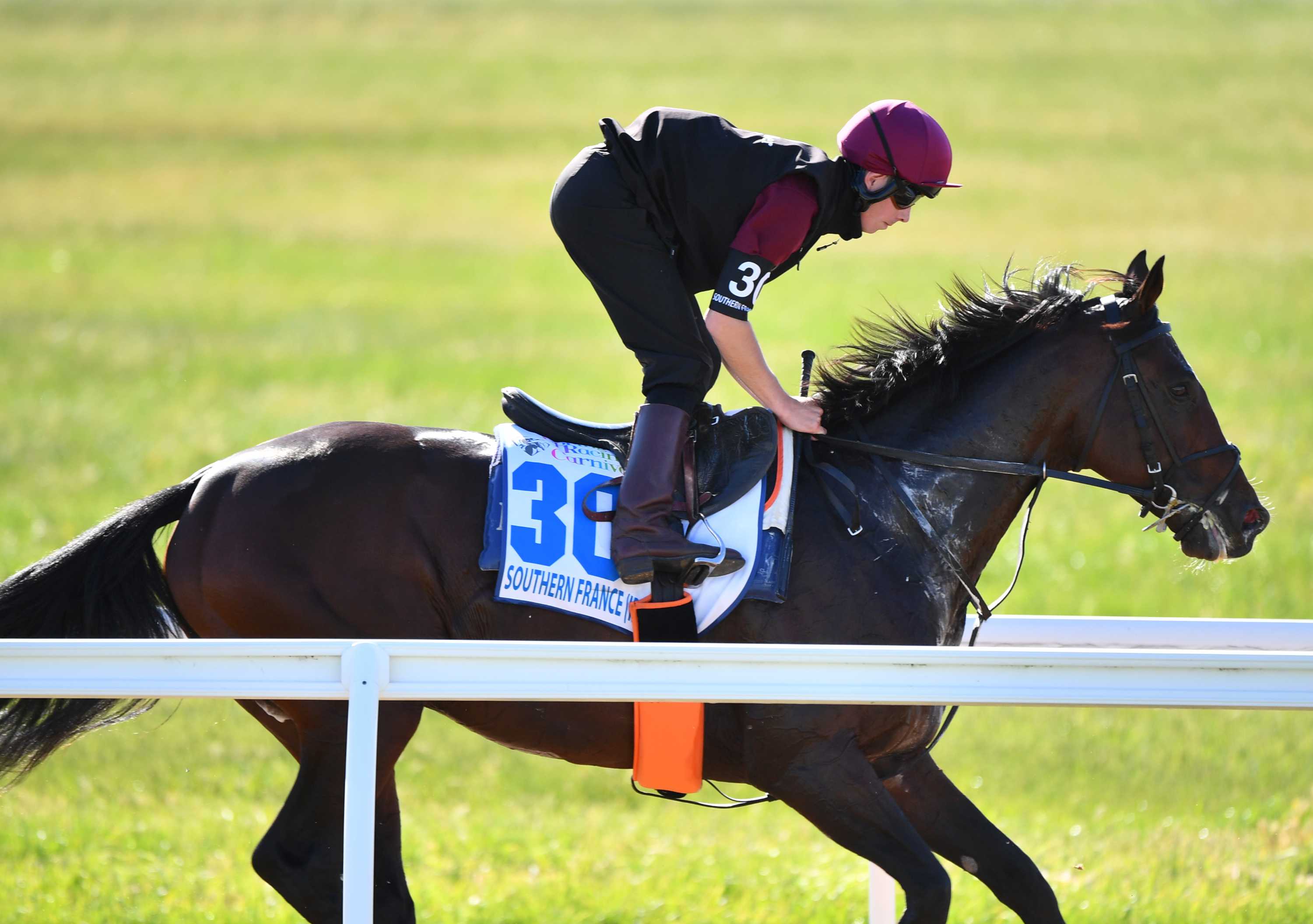 Ciaron Maher And David Eustace S Training Partnership Could See It S Biggest Return At The Melbourne Cup Abc News