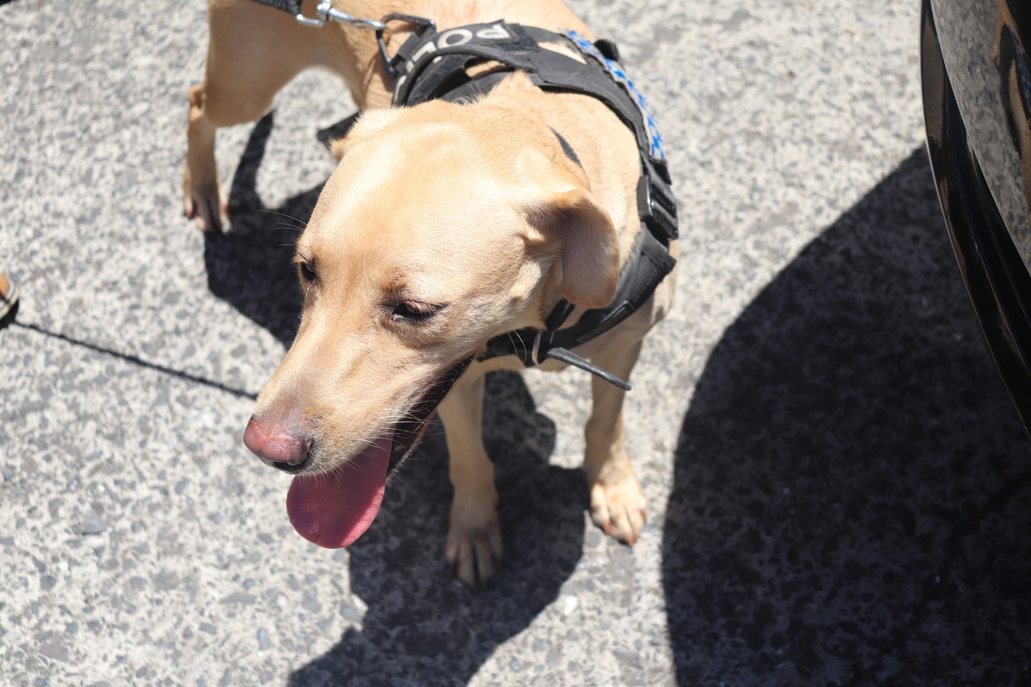 480868964_950799000575645_3927291452739946457_n