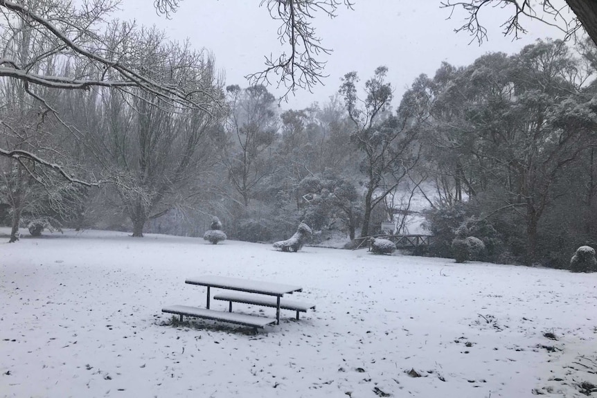 Snow at St Peter's Pass Tasmania