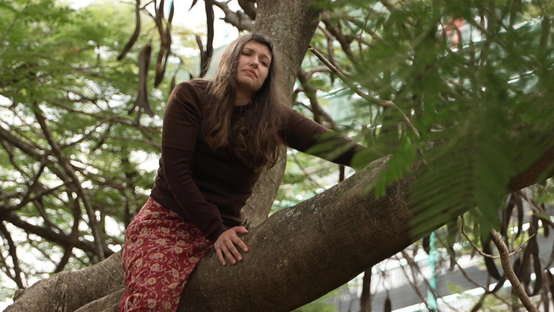Brisbane protester removed from tree after 23 hours