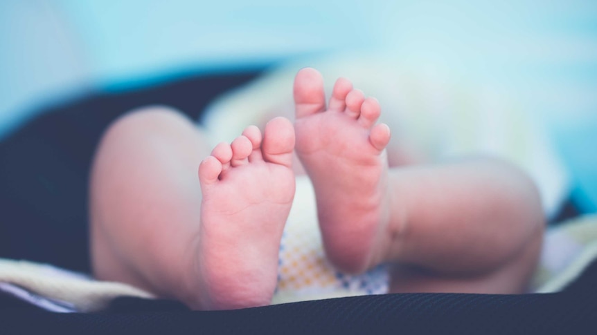 Close-up stock image of a baby's feet.
