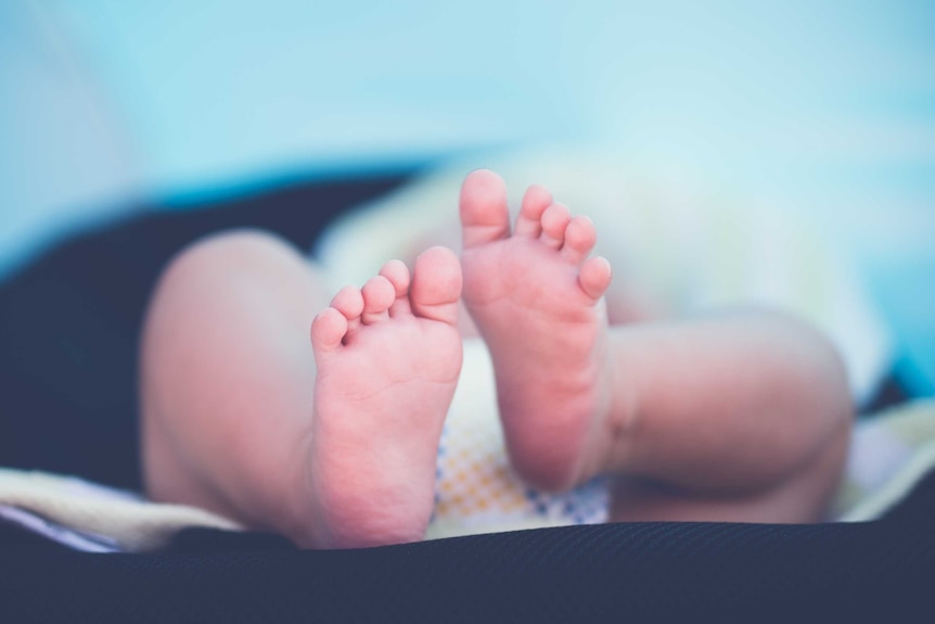 Close-up stock image of a baby's feet.