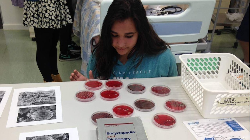 Student from UniChoice program studies petri dishes