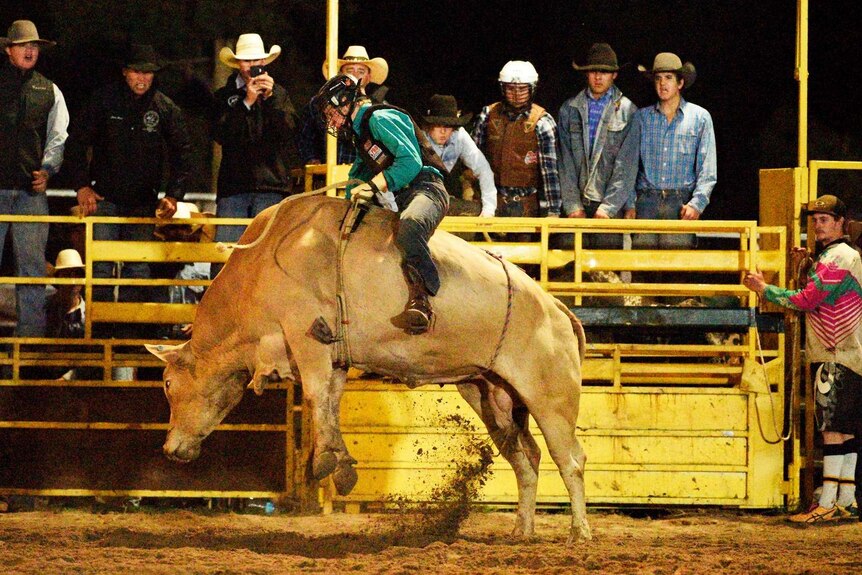 Rodeo Club student Jake Winston riding a bull