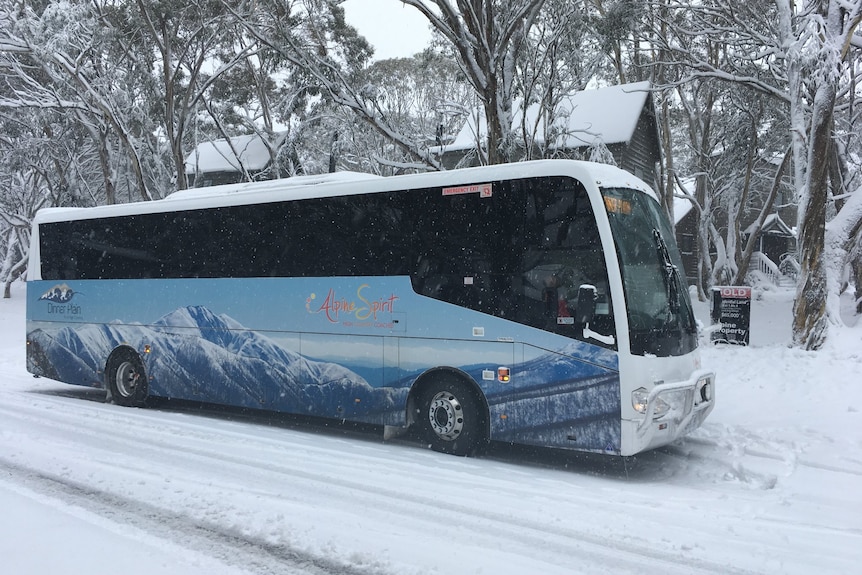 A bus that says Alpine Spirit on the side is parked on a snowy road with snowy trees behind it