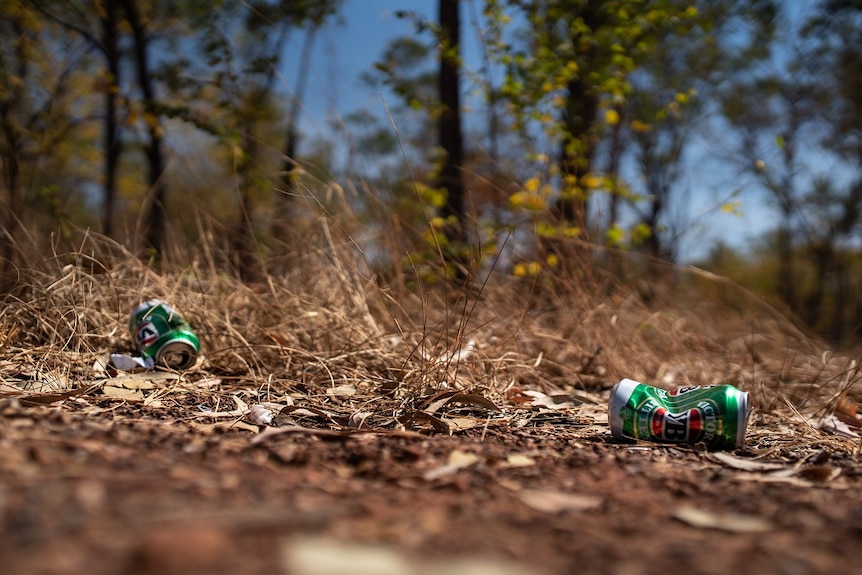 Empty beer cans are littered on the ground