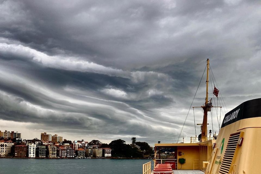 Storm clouds brewed over Sydney Harbour this morning