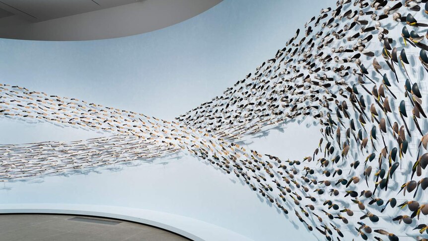 Wall installation made from feathers, sells, rush and more, mounted on pale blue curving wall, and taking a figure-eight shape.