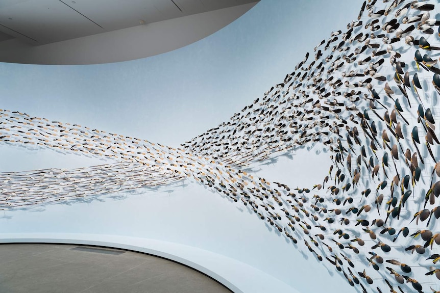 Wall installation made from feathers, sells, rush and more, mounted on pale blue curving wall, and taking a figure-eight shape.