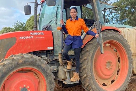 A woman is leaning out of a tractor out in a paddock. 