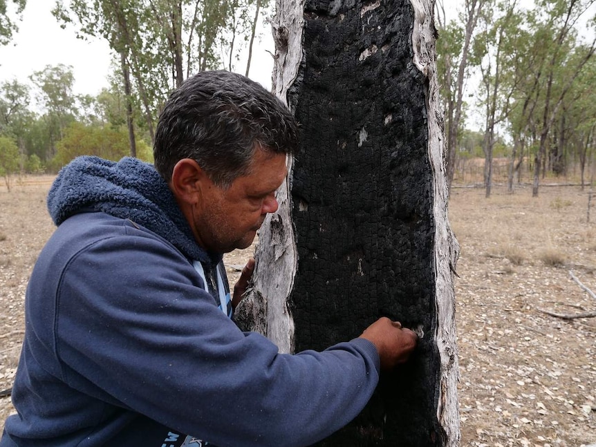 Indigenous man stands in front of a burnt out stump in the bush