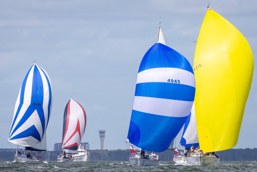 Four boats sped forward by billowing sails. Two blue and white, one red and white and one bright yellow.