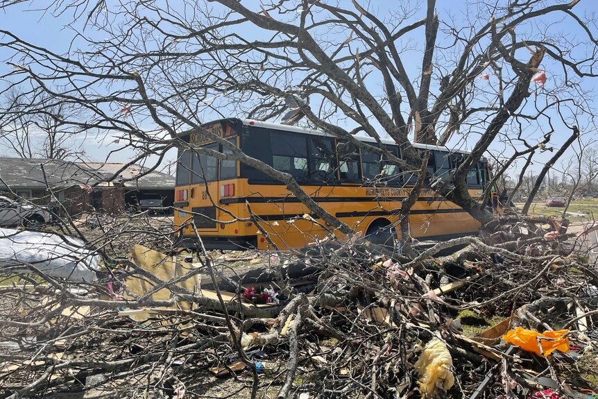 Yellow bus next to a tree with debris scattered around it