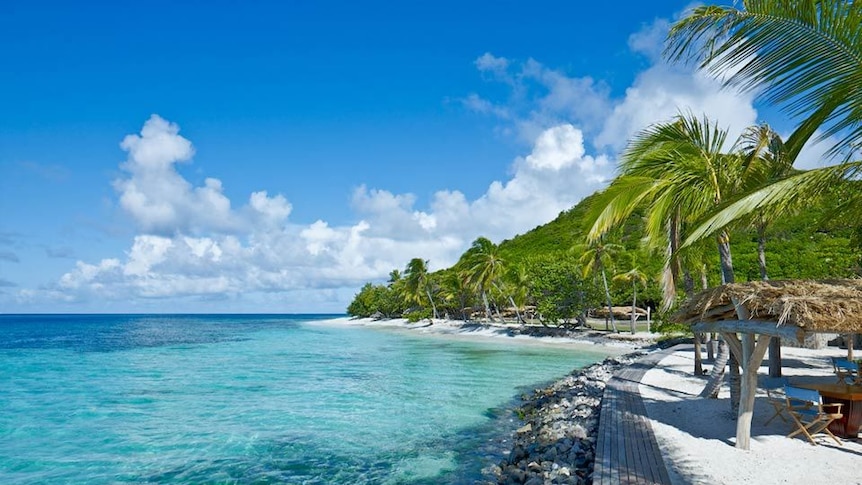 A beach with turquoise blue water and a tree-covered hill in the background, and palm trees dotting the shore.