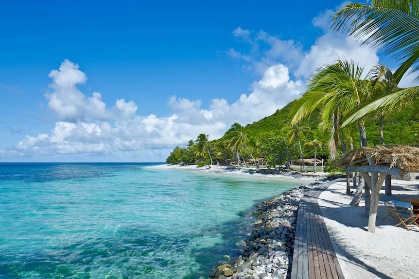 A beach with turquoise blue water and a tree-covered hill in the background, and palm trees dotting the shore.