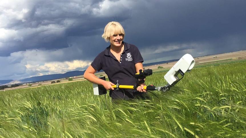 Hannah Robinson holds a 'GreenSeeker' in a barley crop