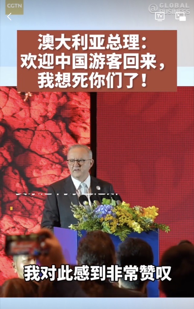 A still from a social media video showing Anthony Albanese and text in Chinese. 