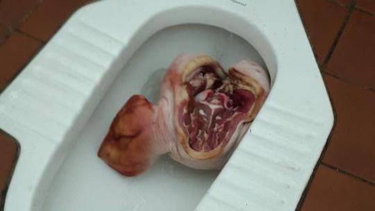 Pig's head found in toilet near Perth mosque