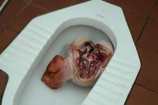 Pig's head found in toilet near Perth mosque