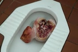 Pig's head found in toilet near Perth mosque