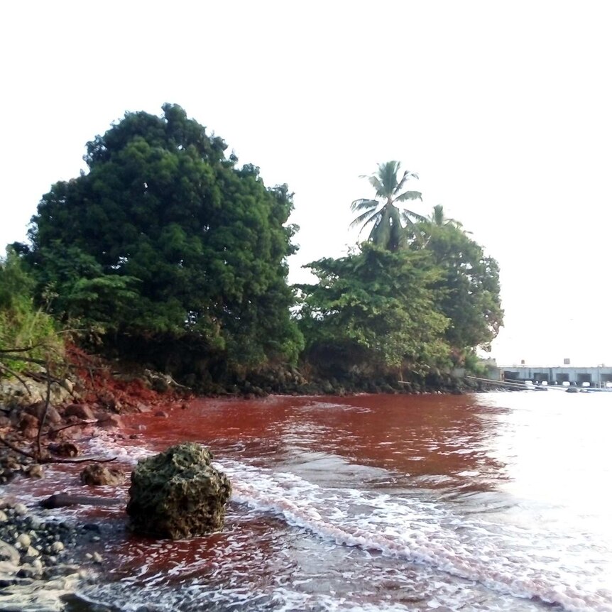 The water at Basamuk Bay in Papua New Guinea's Madang province turns red, after a toxic slurry spill.