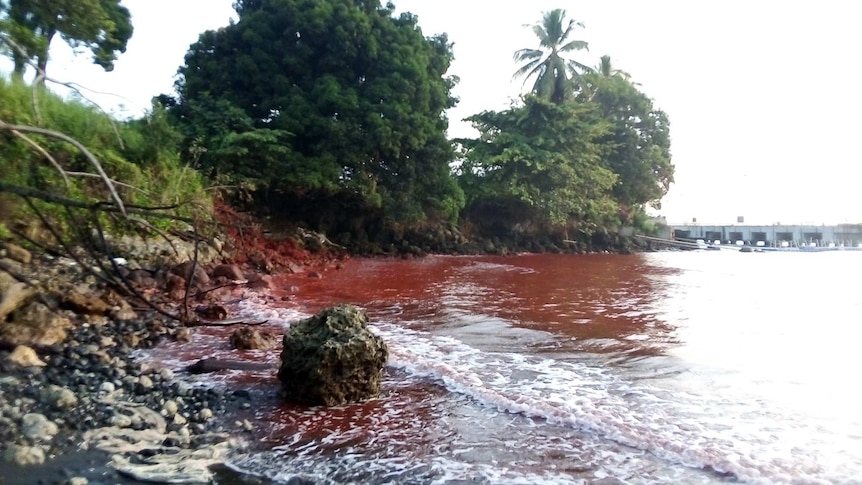 The water at Basamuk Bay in Papua New Guinea's Madang province turns red, after a toxic slurry spill.