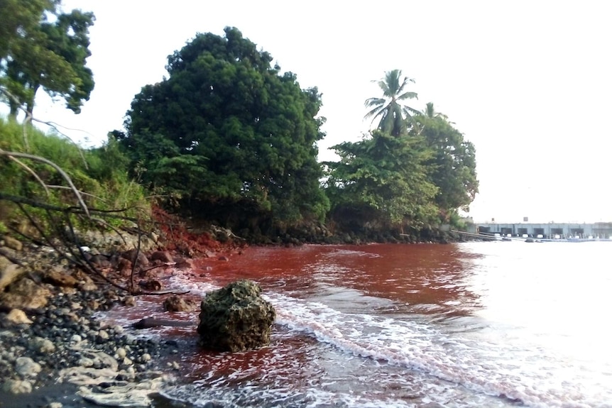 The water at Basamuk Bay in Papua New Guinea's Madang province turns red, after a toxic slurry spill.