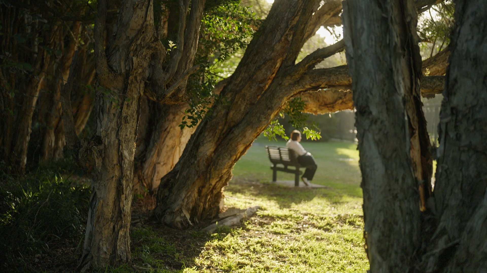 A woman sitting outside on a park bench.