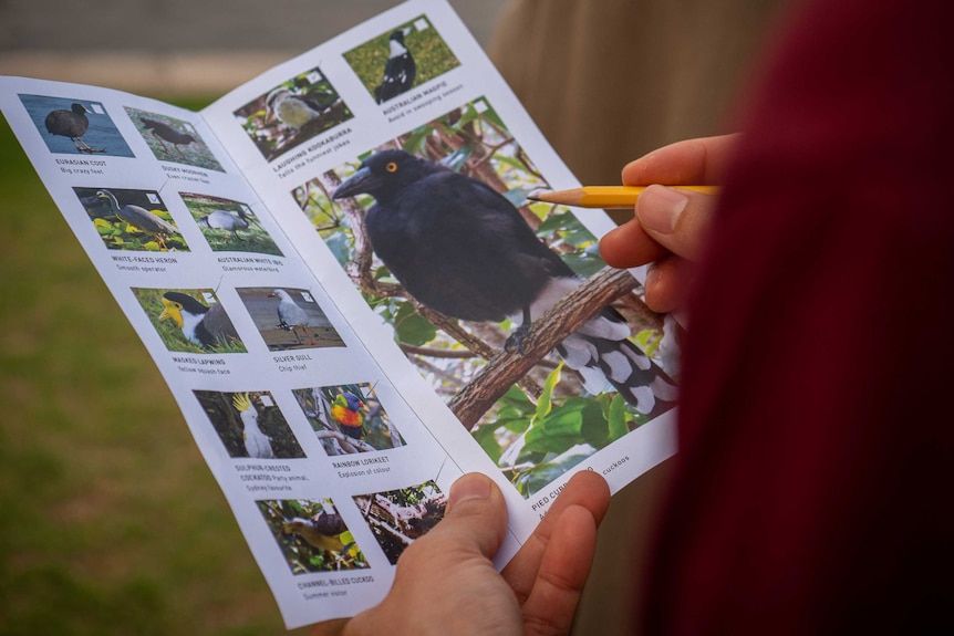 A member holding a pamphlet to identify birds.