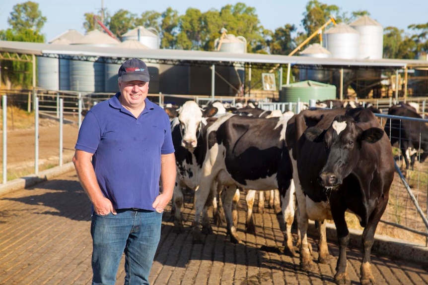 A man standing at a farm site with a number of cows next to him