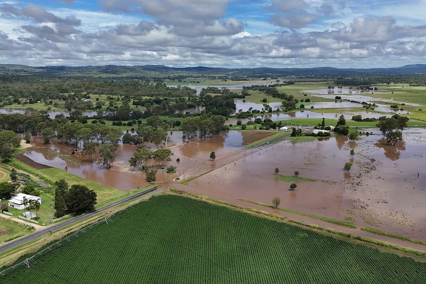 aerial view of flooded paddocks