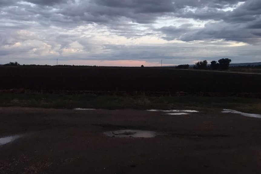 a dark, grainy photo of a farm paddock taken at 7.12am