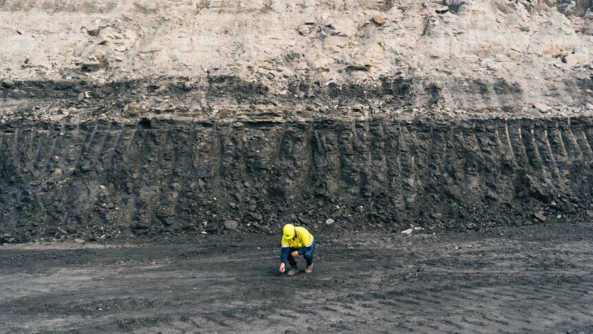 Indian-owned Australian coal mine suffers 'another nail in the coffin' after big legal loss