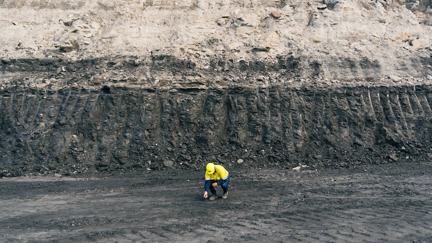 A man bends down to pick up a piece of coal at Collie Western Australia Griffin Coal Mine.