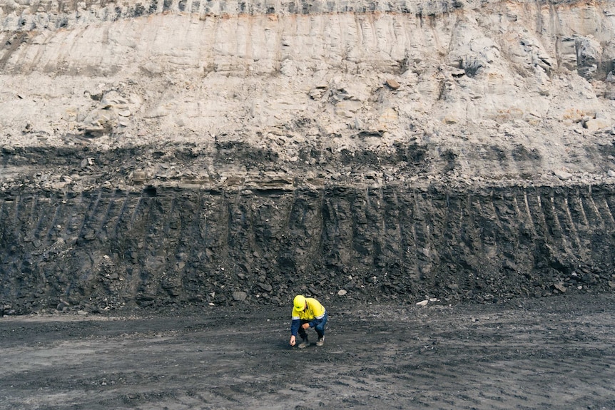 A man bends down to pick up a piece of coal at Collie Western Australia Griffin Coal Mine.