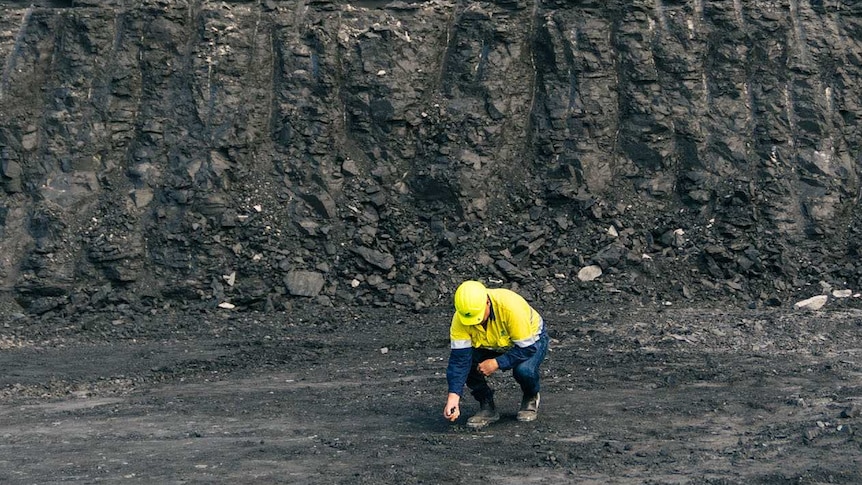 A man bends down to pick up a piece of coal at Collie Western Australia Griffin Coal Mine.