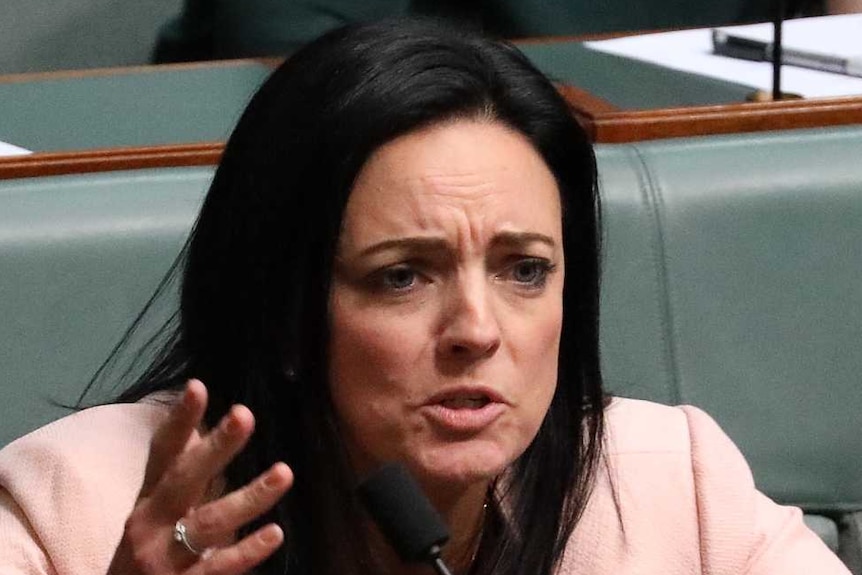 Emma Husar throws her hands up in dismay while seated in her spot in the House of Representatives next to Susan Lamb.