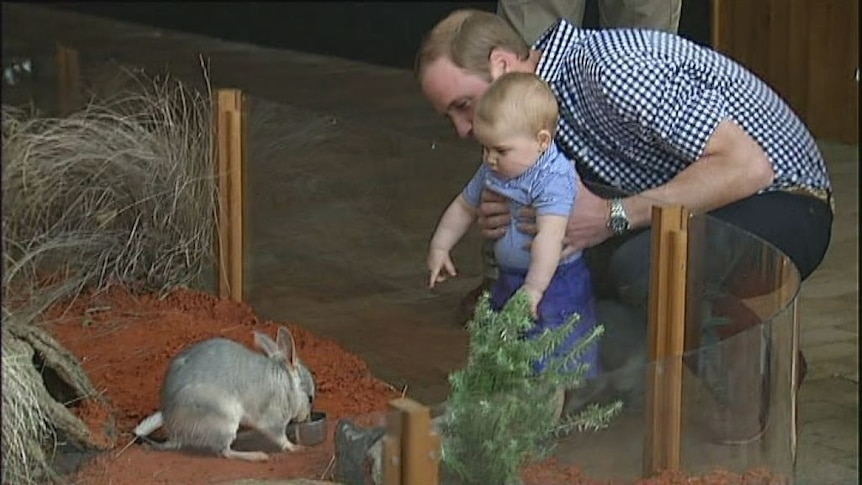 Royals visit bilby enclosure at Taronga Zoo