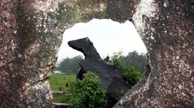 The collection of monoliths has been described as the Amazon Stonehenge.