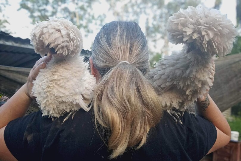 Two chooks sit on a woman's shoulders. 