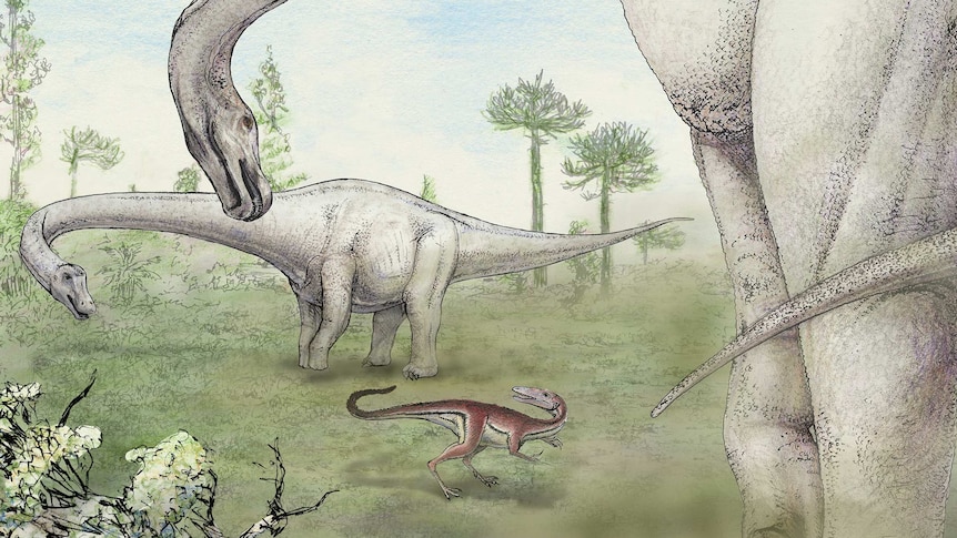 A drawing of two large dinosaurs and one smaller one