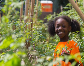 Grow your own movement combats food deserts