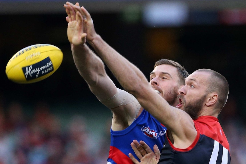 Jordan Roughead and Max Gawn contest the ruck.