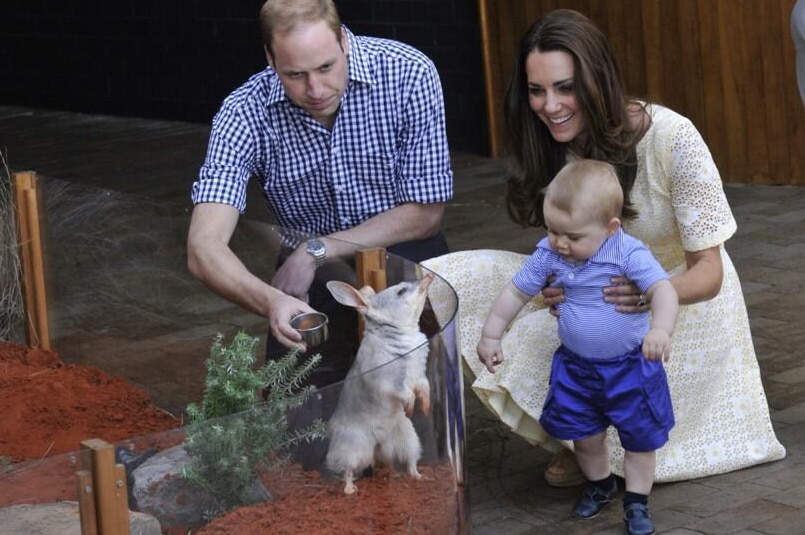 Prince George at Taronga Zoo