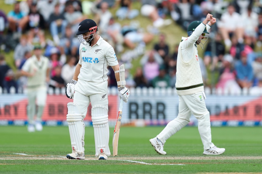 Kane Williamson looks down and Travis Head celebrates