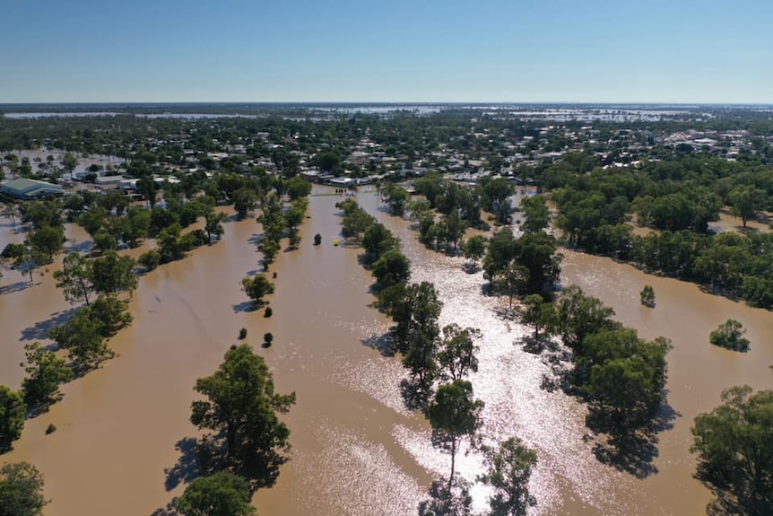 Floodwaters inundating Moree