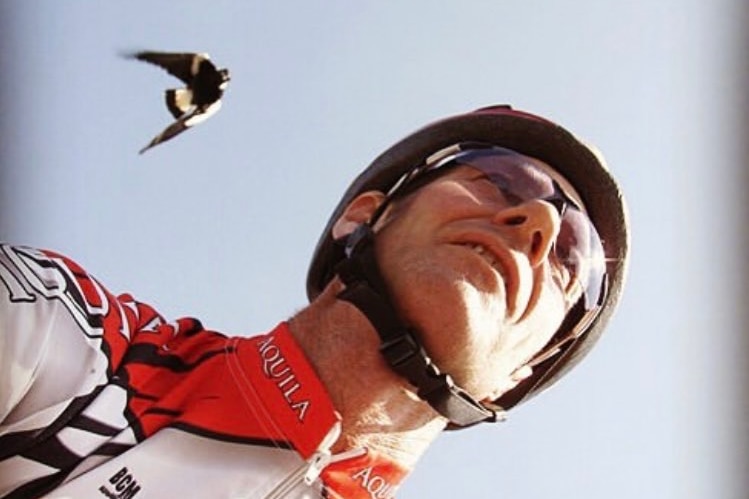 A man in a helmet with a magpie above him. 