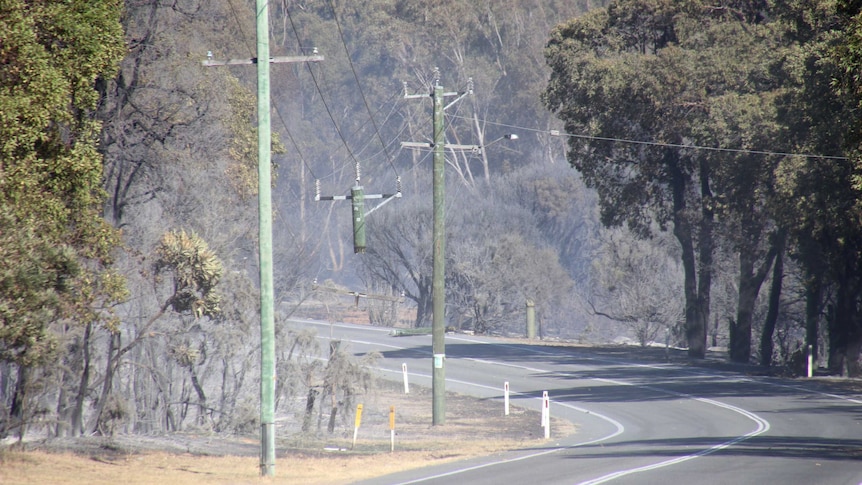A wide shot of power poles and bushland lining the side of a road with one power pole burnt out in the middle from a bushfire.